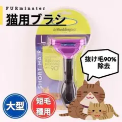 Item thumbnail for item b5f696a8-44a8-4ec7-a18c-b775ff7b2fcd