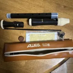 Item thumbnail for item 69b1aee6-c28d-4fff-90f5-b7bc07f1ea68