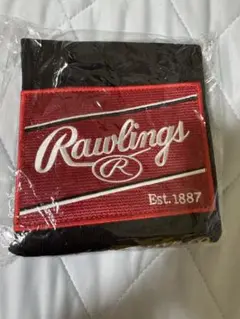 Rawlings グローブ袋