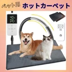 Item thumbnail for item badb61fa-00f5-44c3-8335-49caad8d3820