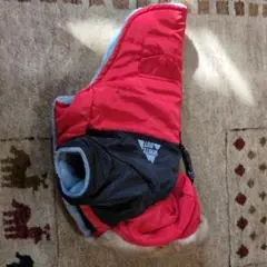 Item thumbnail for item a04bb445-94d5-44f1-bc84-5946438491e3