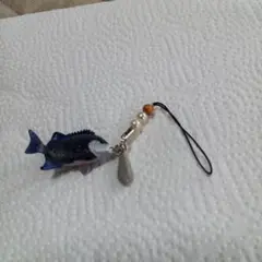 リアル魚ストラップ イシダイの成魚