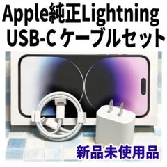 新品 iPhone 純正 充電器セット USB-C Lightning 正規品