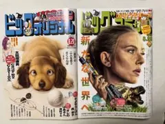 ビッグコミックオリジナル 8.20 ビッグコミック 8.25 2冊セット