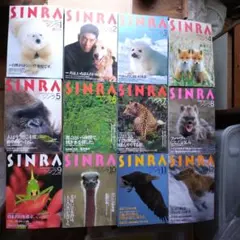 SINRA シンラ 雑誌 創刊号～1994年12月号迄12冊1994年年間セット