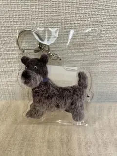 wani souma アクリルキーホルダー　terrier