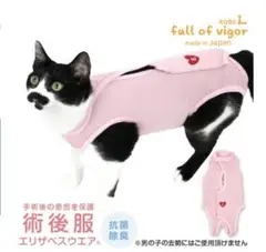 Item thumbnail for item 404f91da-8704-44b6-9042-46def356fe16