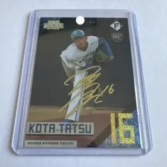 【非売品】北海道日本ハム 達孝太選手 直筆サイン入りフォト 大判A4サイズ Amazon.co.jp: BBM 日本ハムファイターズ 達孝太 直筆サイン
