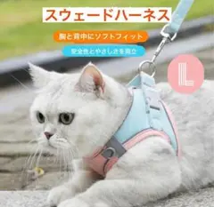 Item thumbnail for item 7b497c0f-bd36-449a-aeeb-eac8e63f40f6