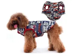 Item thumbnail for item 1c53e1a3-ab25-4ede-b24d-bec8ff470f72