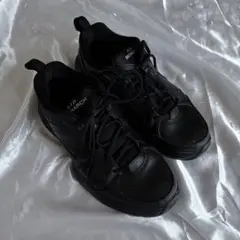 NIKE AIRMONARCH ダッドスニーカー　モナーク　28.5cm