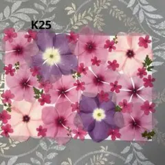 押し花素材　小花押し花　K25 同梱で300円商品