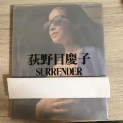 萩野目慶子 SURRENDER 写真集