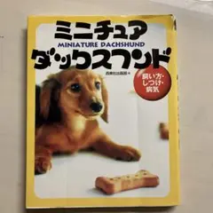 ミニチュアダックスフンド : 飼い方・しつけ・病気