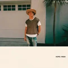 平井大 HOPE / WISH 2枚組CD