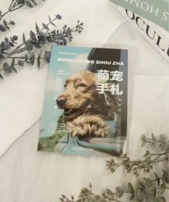 finddoor フレークシール 和紙ステッカー シールブック 犬猫