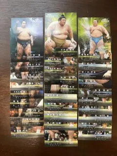 大相撲カード／まとめ売り