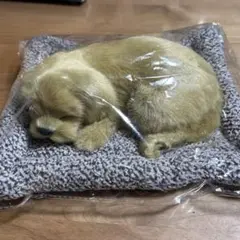 スヤスヤおねむりわんちゃん