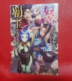 妹ちゃんの言うとおりにしていたら覇王に２　ゲーマーズ特典描き下ろしSS