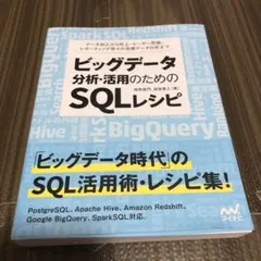 ビッグデータ分析・活用のためのSQLレシピ データ加工から売上・ユーザー把握、…