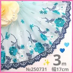№250731 チュールレース