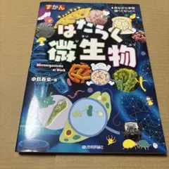 7/29.33◎はたらく微生物