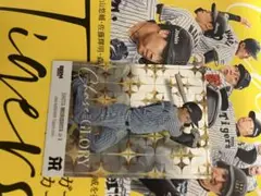 bbm 阪神タイガース 2025 森下 /100 パラレル