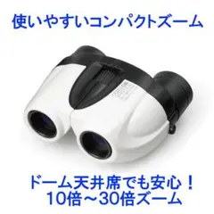 【ドーム2階席でも安心!】ケンコー10倍〜30倍双眼鏡
