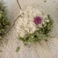 ナチュラルドライフラワー アナベル枝