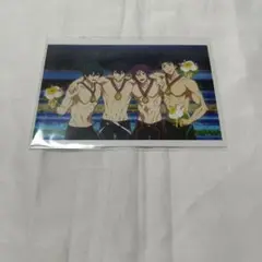 劇場版Free！　ブロマイド