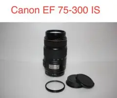 Item thumbnail for item 4c1f54c0-8677-4706-b4fa-358ee97fad1c