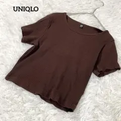 UNIQLO リブクロップドTシャツ　チビT ミニT　ブラウン　1827