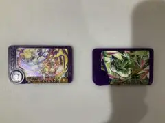 ポケモンフレンダ タケルライコ テツノイサハ