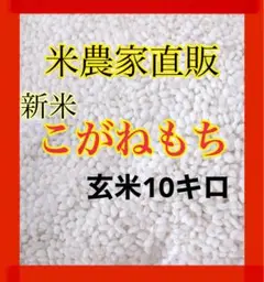 農家直販 最高級品 令和4年 こがねもち もち米 新米 10キロ 餅米