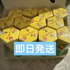 ソニーエンジェル　ヒッパーズ　ハーベスト1BOX