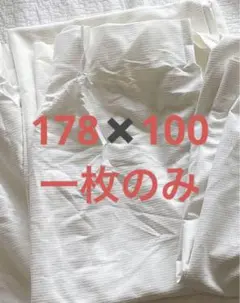 ‼️本日限定価格‼️