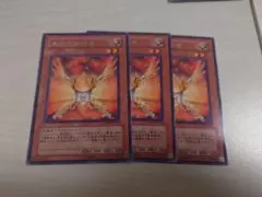 遊戯王　朱光の宣告者　字レア　3枚