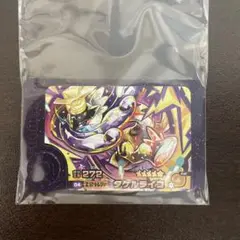 ポケモンフレンダ　第5弾　スーパートレジャー　タケルライコ