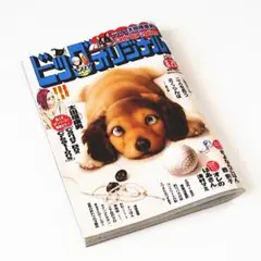 ビッグコミックオリジナル 最新号2025年8月5日（火）発売　第16号