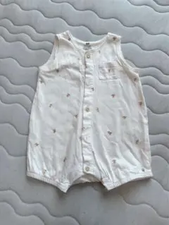 Item thumbnail for item 22eff333-f6e6-4475-a73a-5ef3e6c44f9e