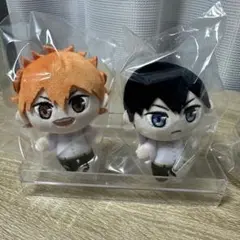 ハイキュー　ROUND1