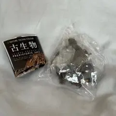 NTC 古生物 ティラノサウルス