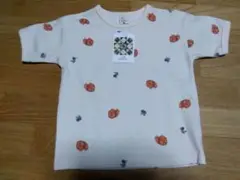 ミコリッド　犬柄　Ｔシャツ　120