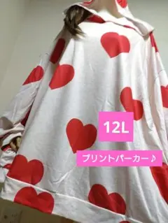 大きいサイズ12L