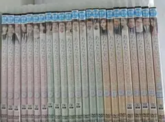 あなたを見つけたい DVD 全23巻セット