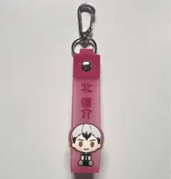 ハイキュー!! 1番くじ H賞 ぽこっとちゃーむ　北信介