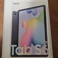 Galaxy Tab S6 Lite (Wi-Fi) Sペン＋専用ケース