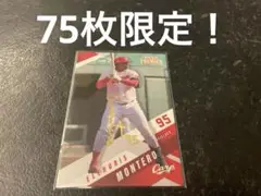 EPOCH PREMIER 2025 広島東洋カープ E.モンテロ
