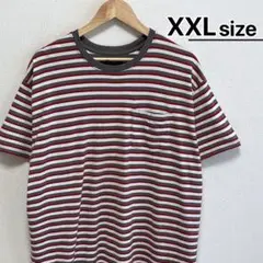 Allen Edmonds　Tシャツ　XXL　ボーダー　グレー　レッド　ホワイト