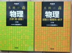 [書込なし]名問の森 物理 2冊セット